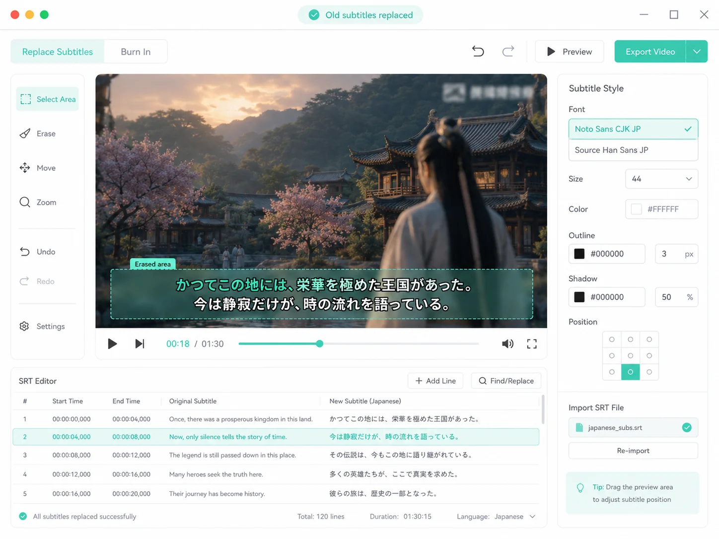 Subtitle Replacement Interface