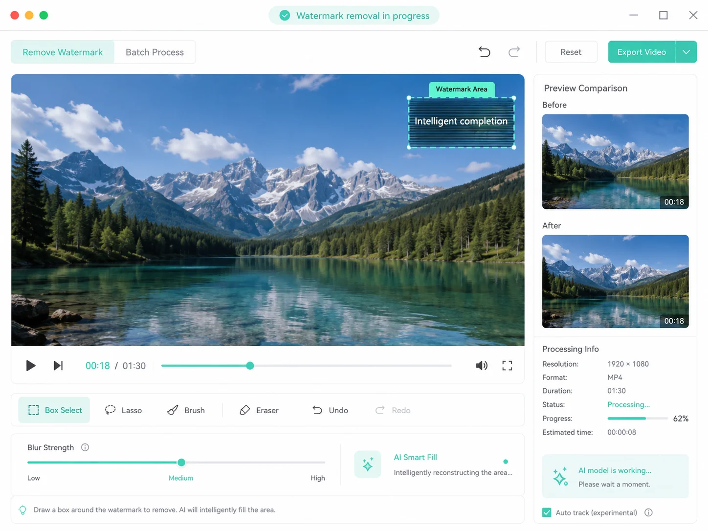 Watermark Removal Interface
